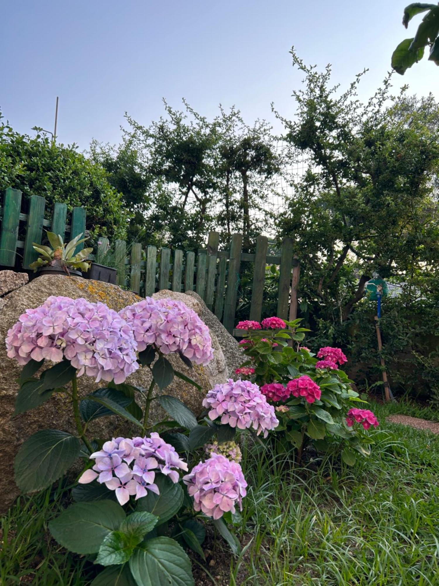 Alto Giardino Διαμέρισμα Zambrone Εξωτερικό φωτογραφία