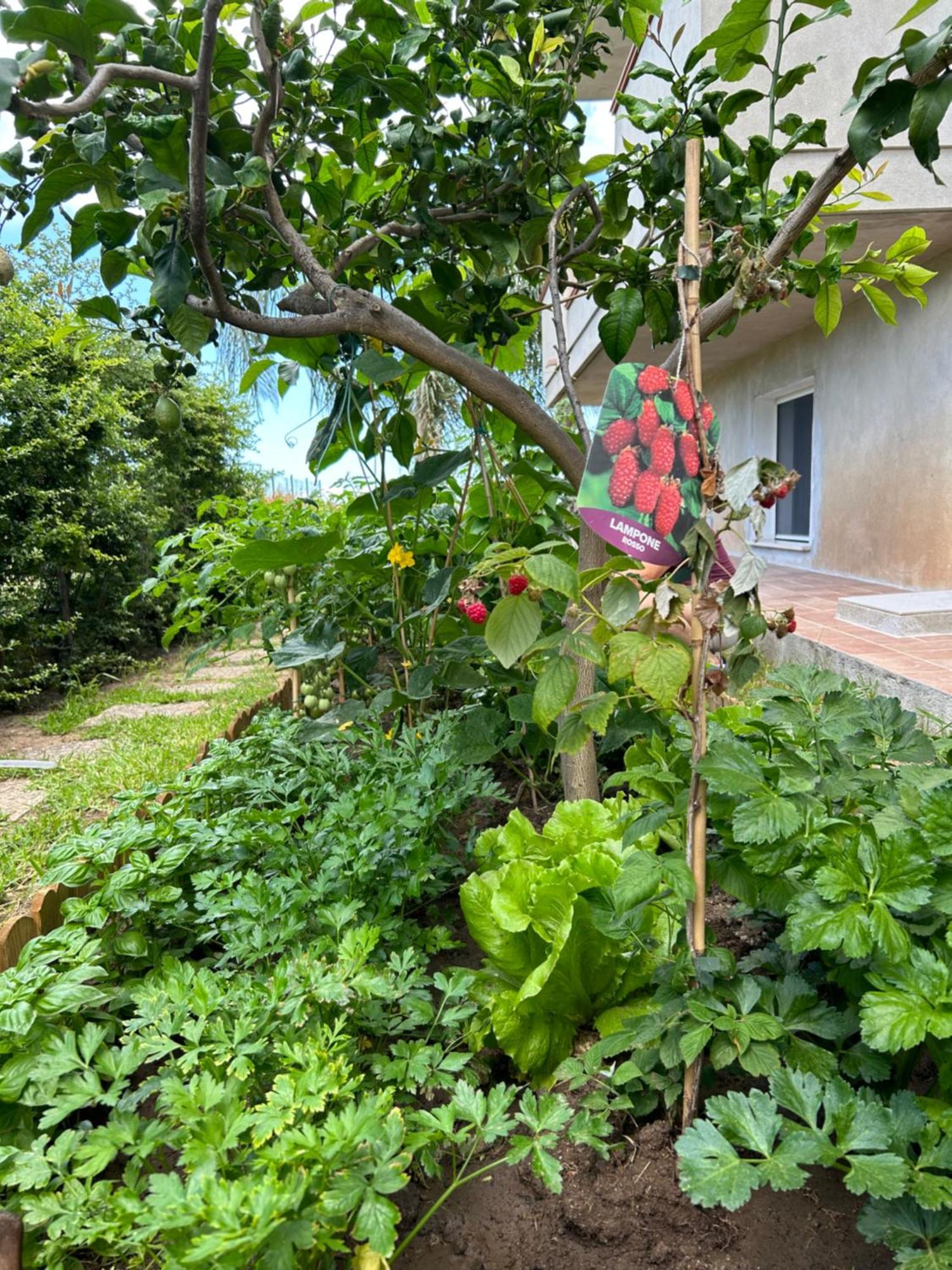 Alto Giardino Διαμέρισμα Zambrone Εξωτερικό φωτογραφία