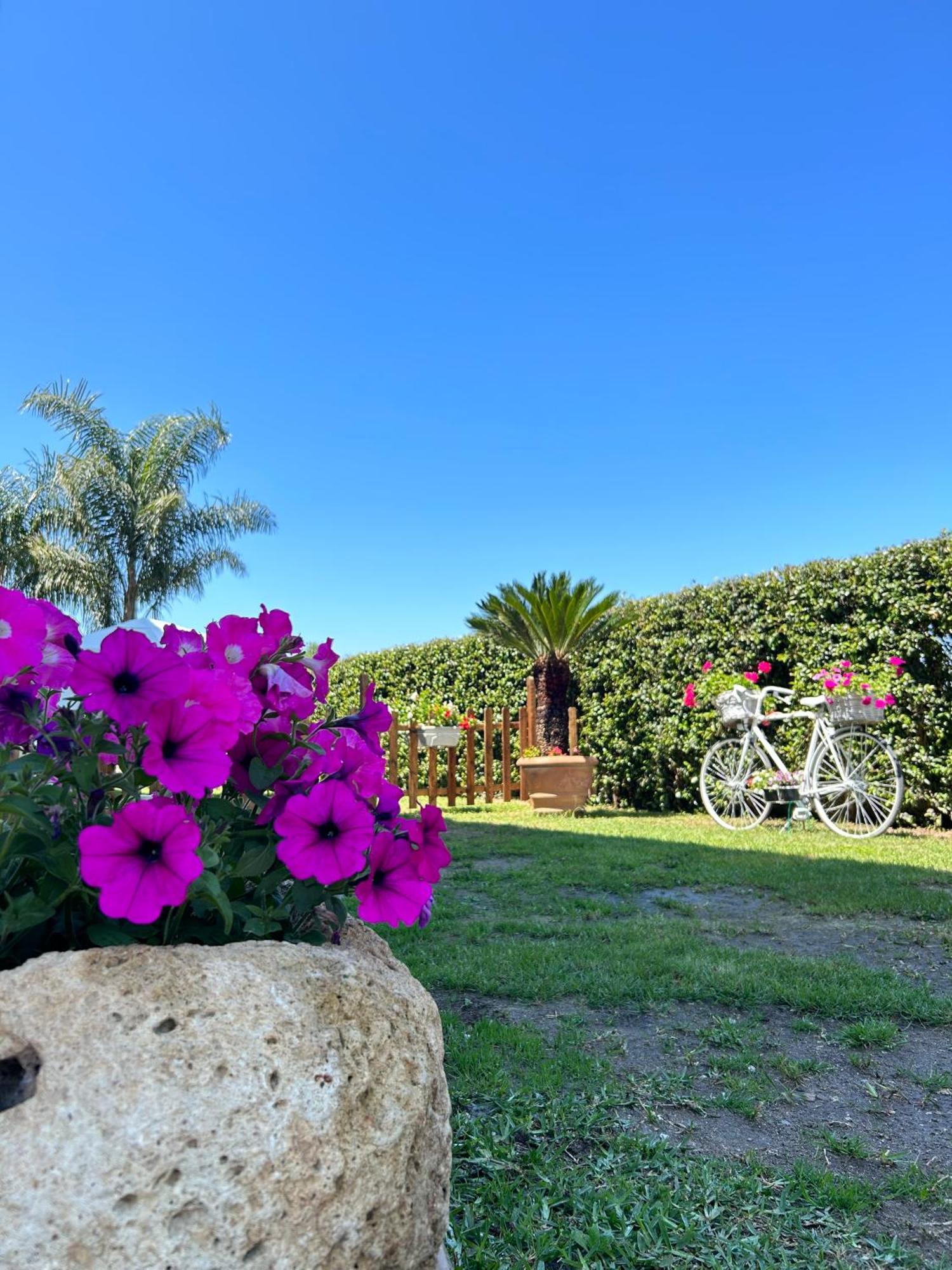 Alto Giardino Διαμέρισμα Zambrone Εξωτερικό φωτογραφία