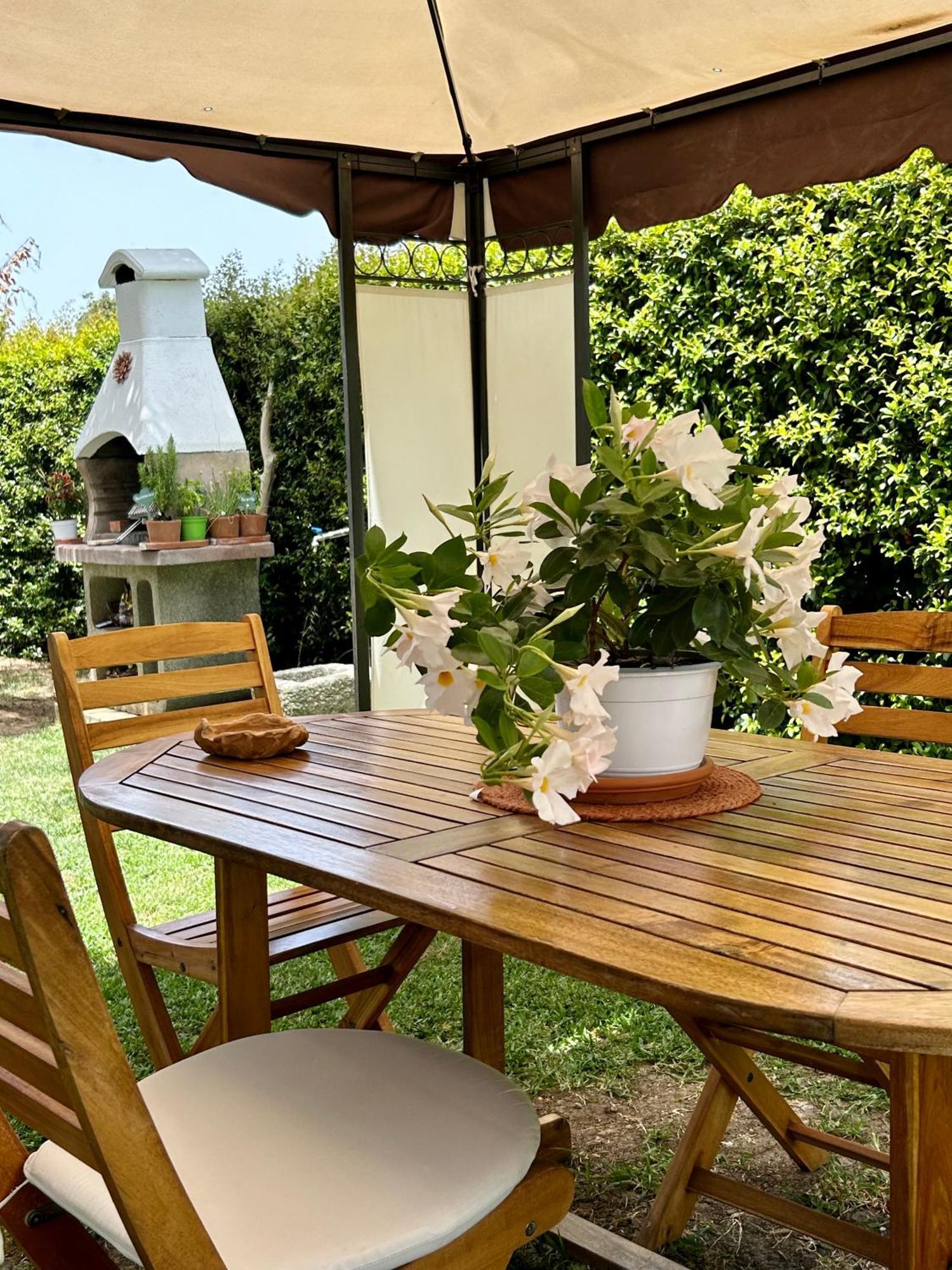Alto Giardino Διαμέρισμα Zambrone Εξωτερικό φωτογραφία