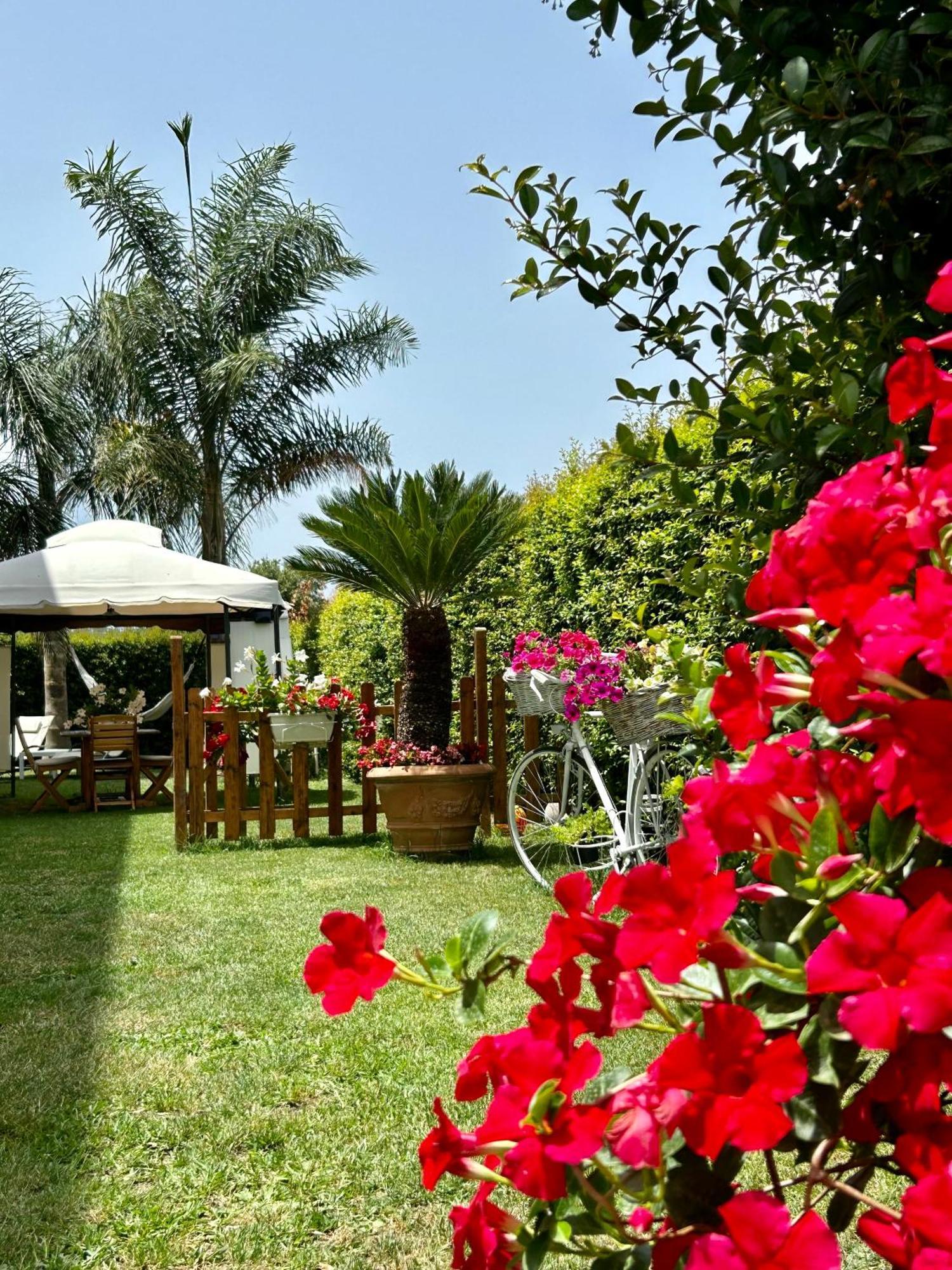Alto Giardino Διαμέρισμα Zambrone Εξωτερικό φωτογραφία