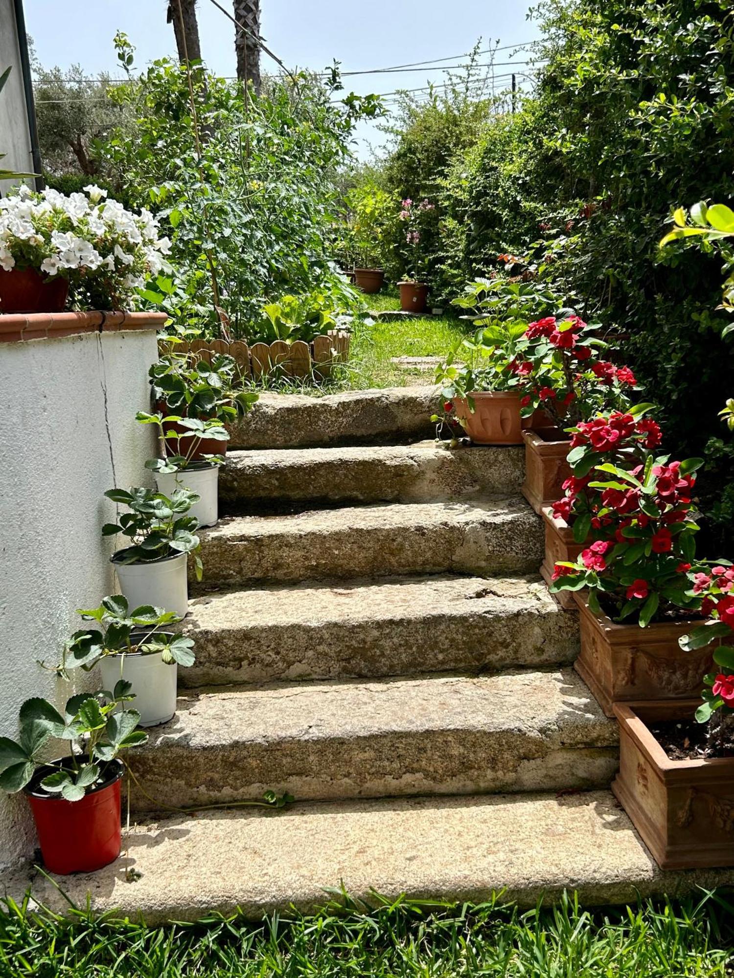Alto Giardino Διαμέρισμα Zambrone Εξωτερικό φωτογραφία